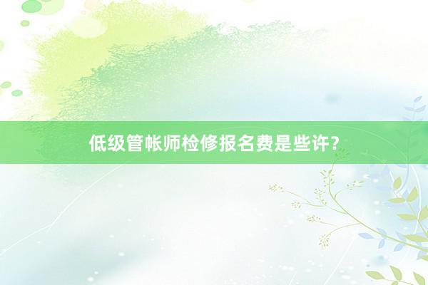 低级管帐师检修报名费是些许？