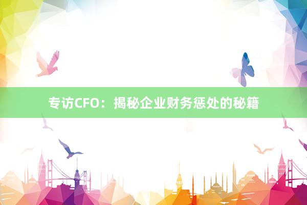 专访CFO：揭秘企业财务惩处的秘籍