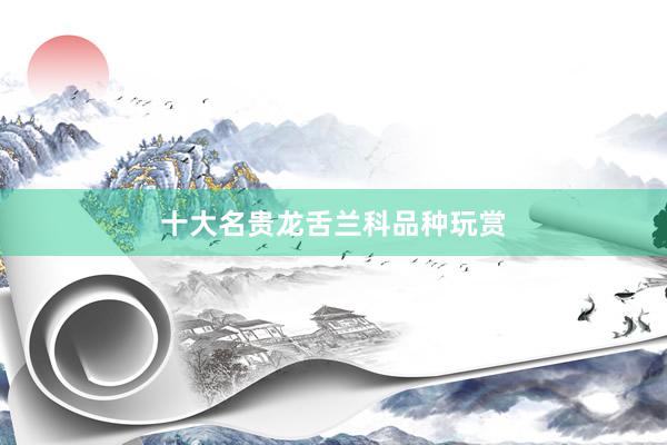 十大名贵龙舌兰科品种玩赏